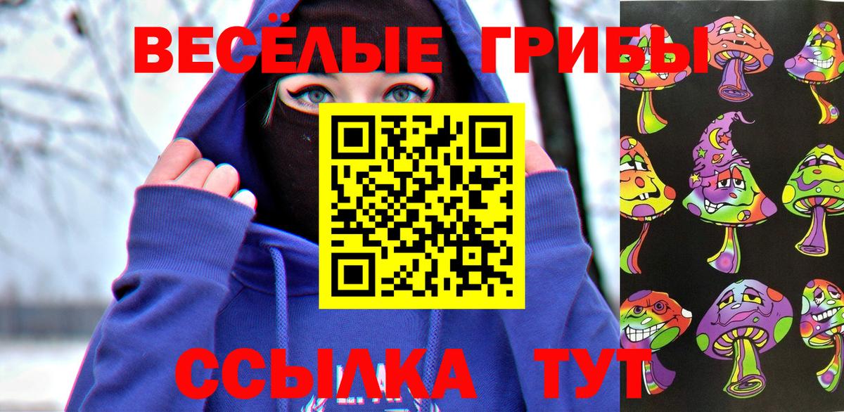 Мичуринск  Псилоцибиновые грибы ЛСД  купить наркоту  Вход с VPN 